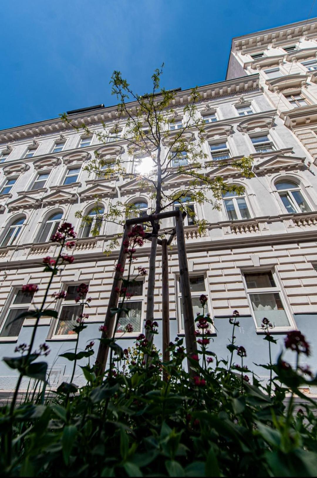 My City Garden View Vienna
